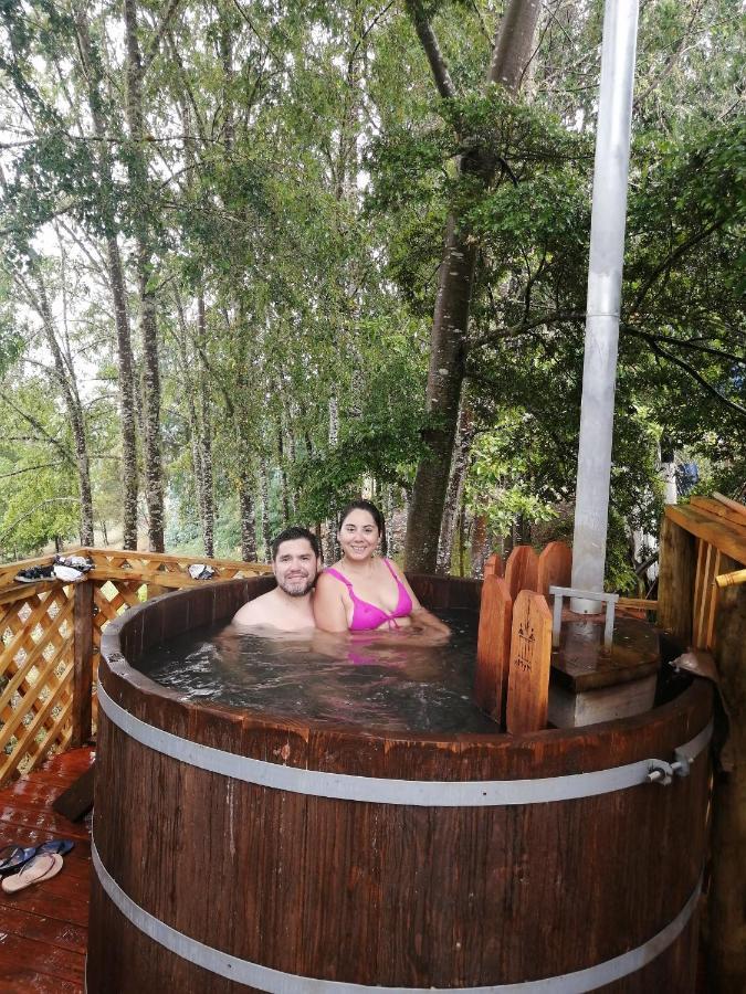 Cabanas Huilipan Gonzalez Нуэва-Империаль Экстерьер фото