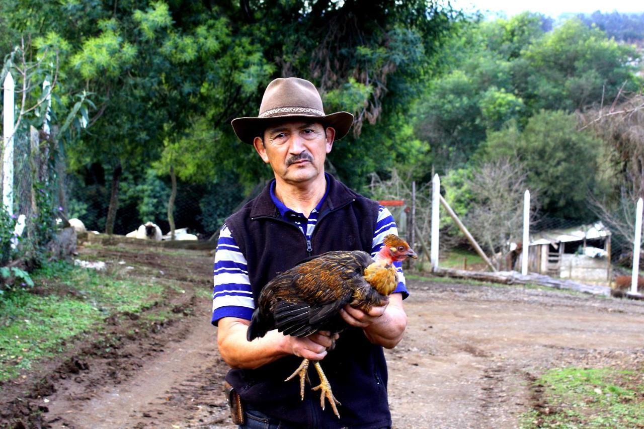 Cabanas Huilipan Gonzalez Нуэва-Империаль Экстерьер фото